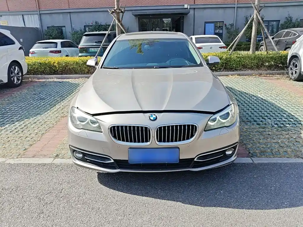 BMW 5 Series — миниатюра 3
