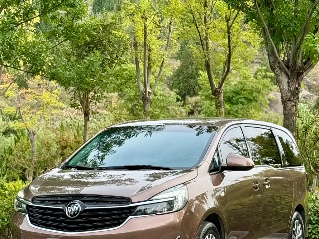 Buick GL8 — миниатюра 7