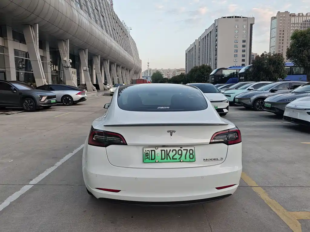 Tesla Model 3 2021 Performance 3D6