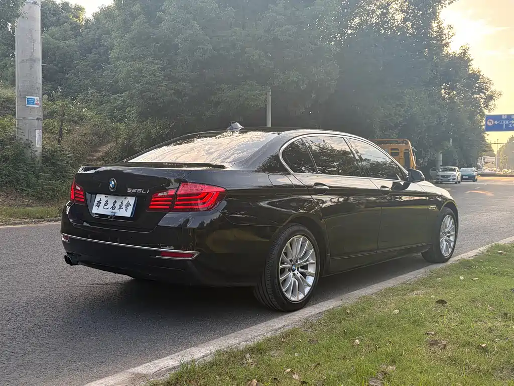 BMW 5 Series — миниатюра 5