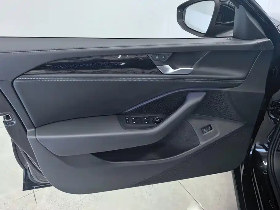 Volkswagen Magotan 2024 300TSI DSG Premium