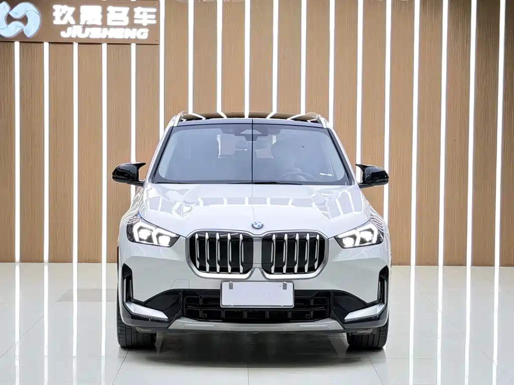 BMW X1 — миниатюра 2