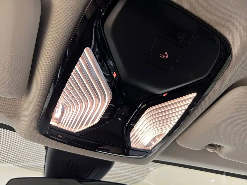 BMW X5 (Import) — миниатюра 15