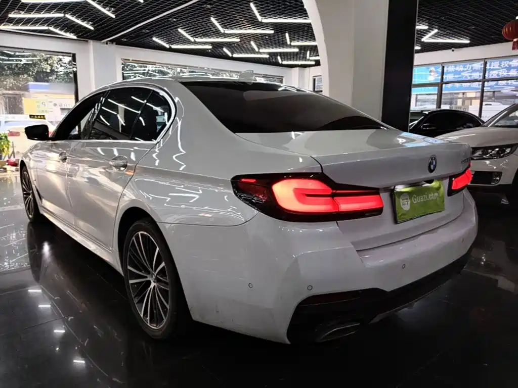 BMW 5 Series — миниатюра 5