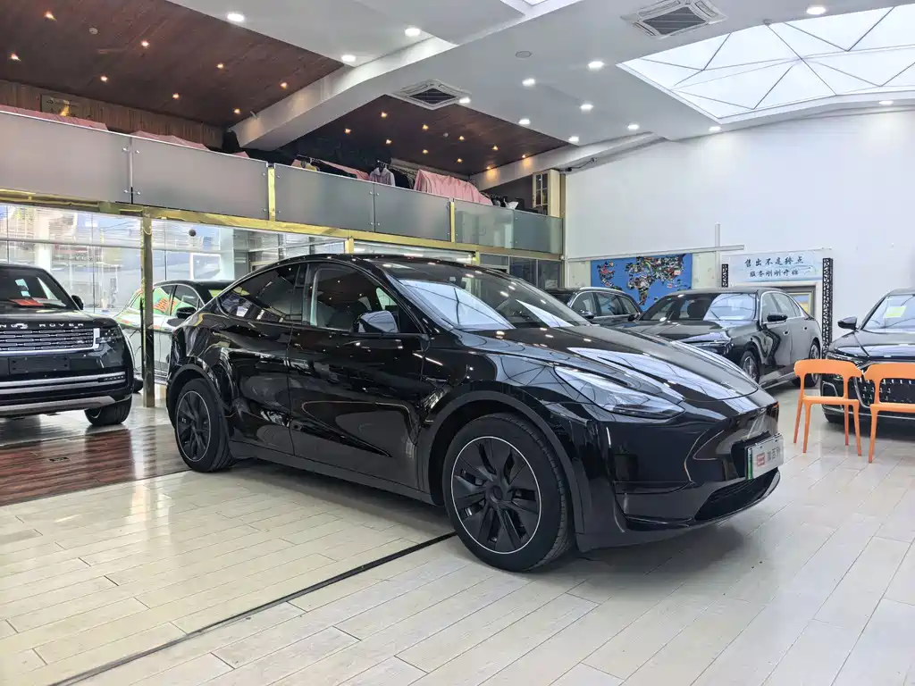 Tesla Model Y — миниатюра 3