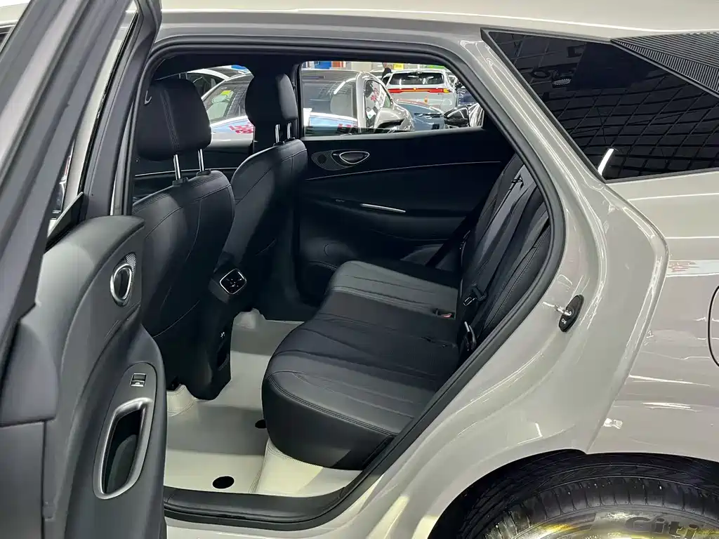 BYD Haisi 06 — миниатюра 5