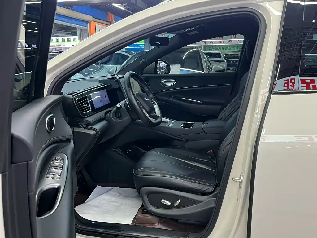BYD Haisi 06 — миниатюра 10