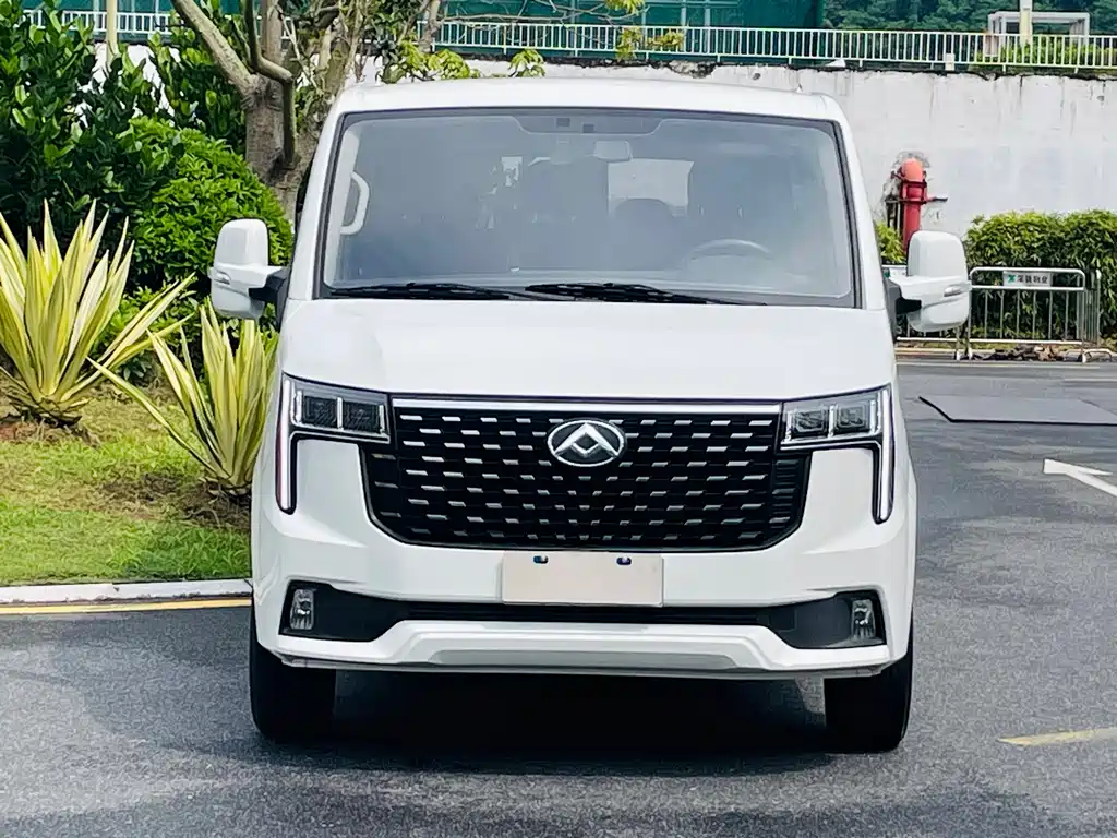 MAXUS V80 — миниатюра 2