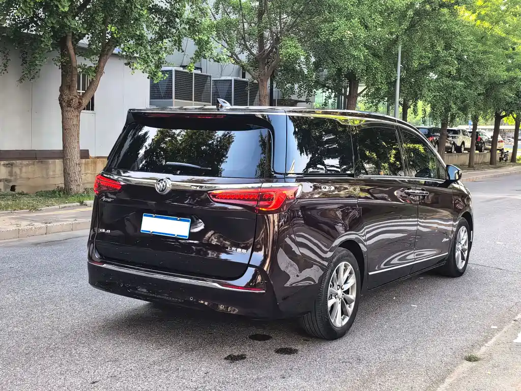 Buick GL8 2022 Avenir мест