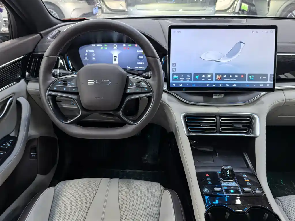 BYD PLUS New Energy — миниатюра 7