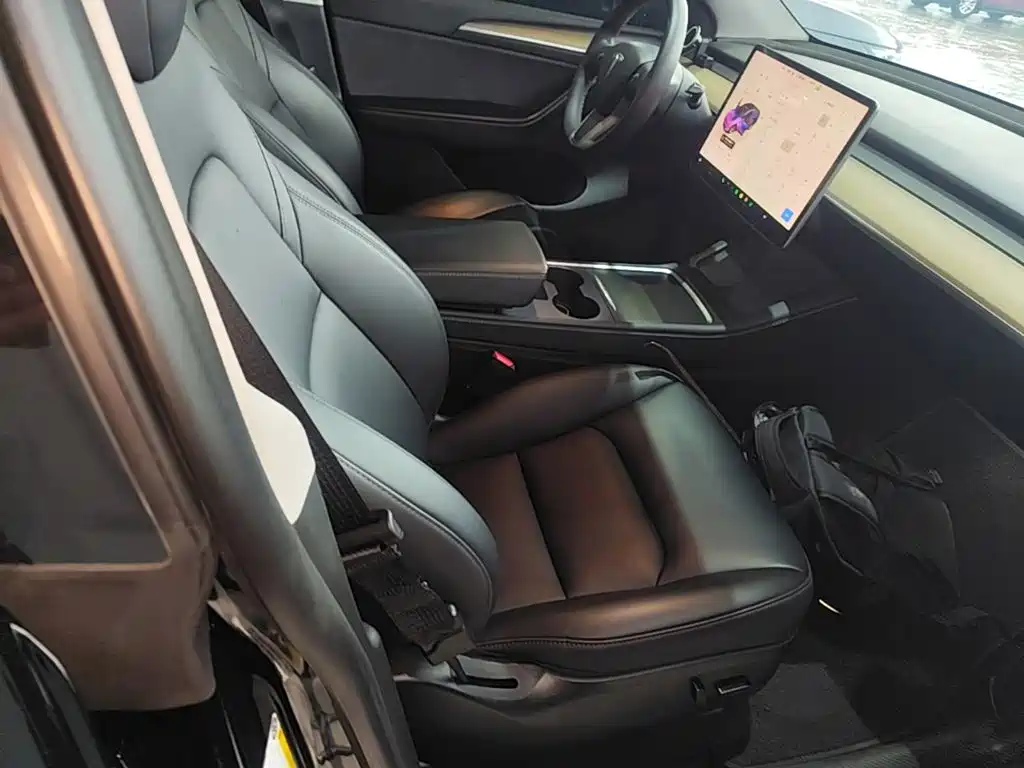 Tesla Model Y — миниатюра 20
