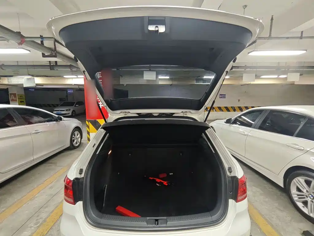 Volkswagen Gran Lavida — миниатюра 19