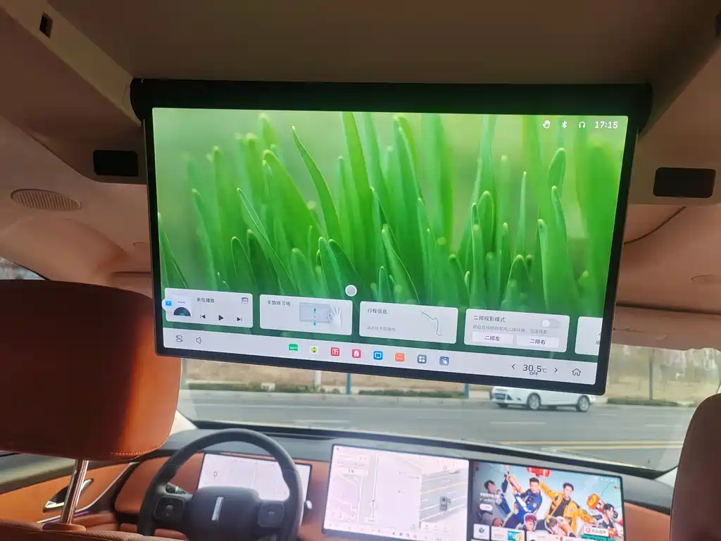 WEI PAI WEI BRAND BLUE MOUNTAIN