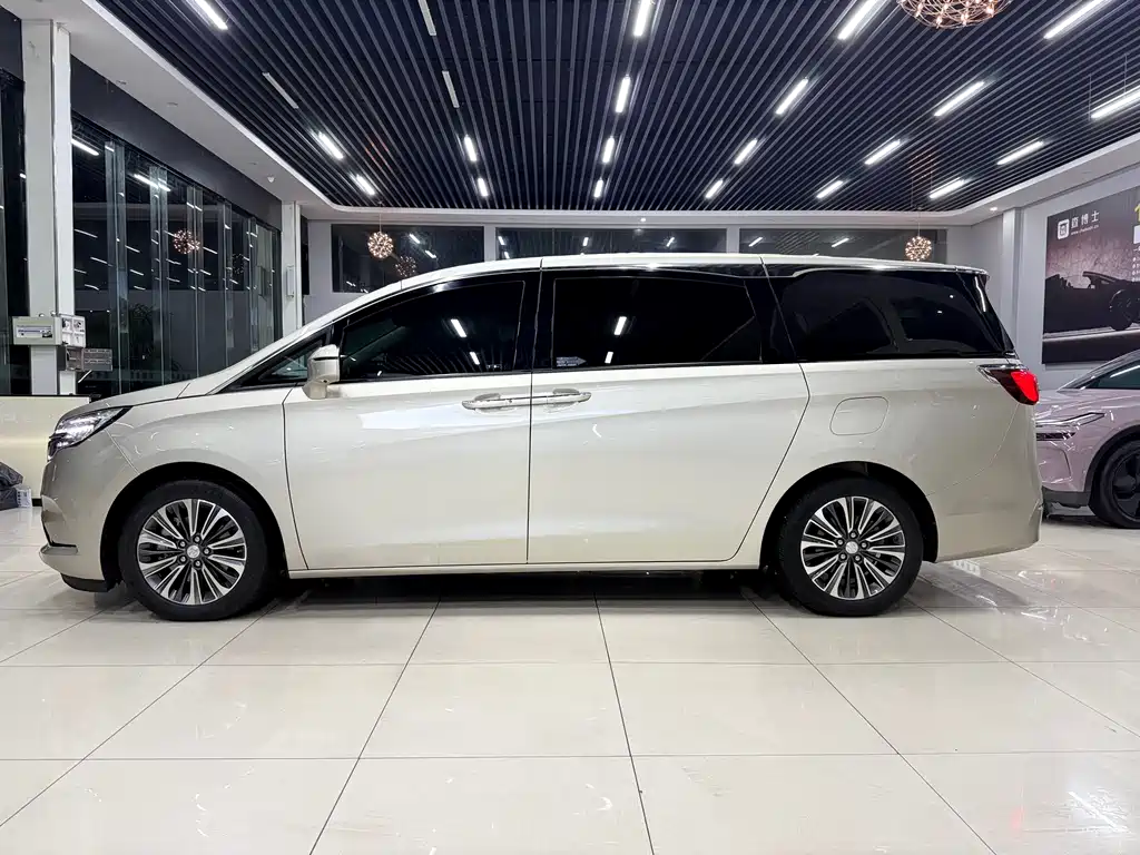 Buick GL8 2023 ES Luxury