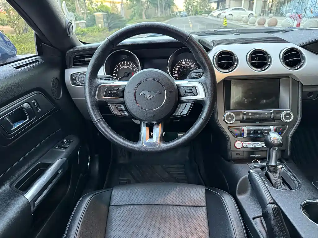 Ford Mustang — миниатюра 6
