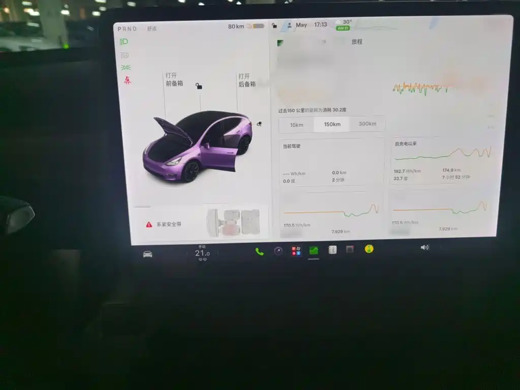 Tesla Model Y — миниатюра 4