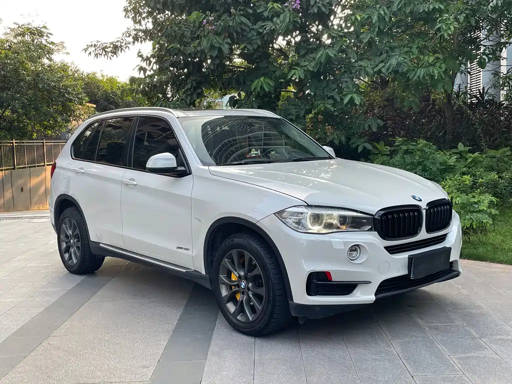 BMW X5 (Import) — миниатюра 3