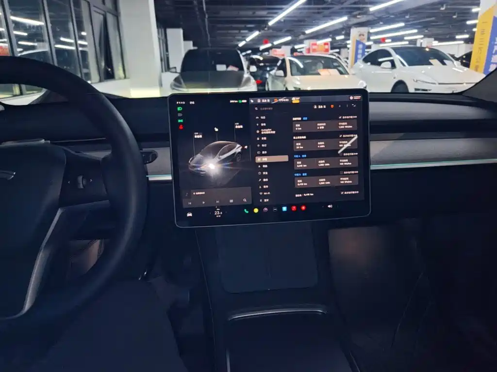 Tesla Model Y — миниатюра 10