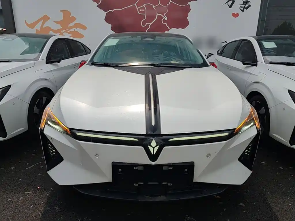 Lingxi Lingxi L — миниатюра 3