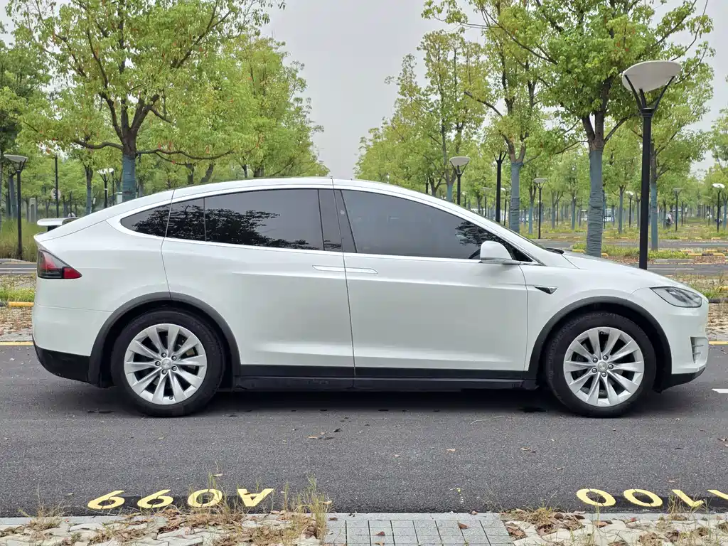 Tesla Model X — миниатюра 8