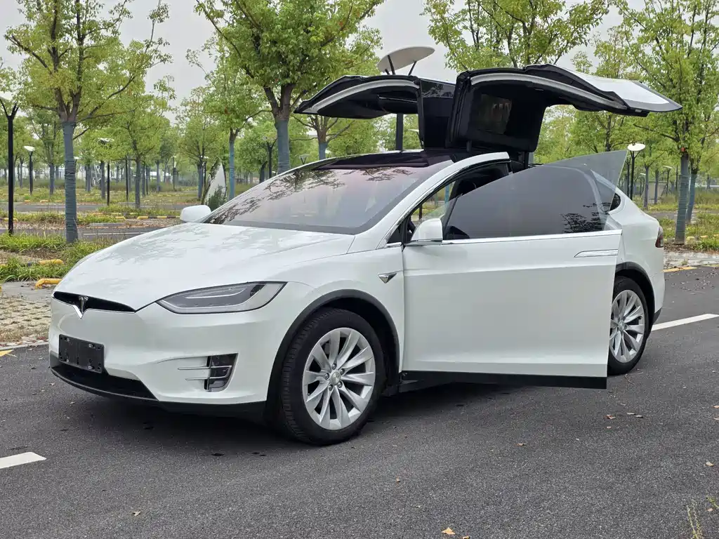 Tesla Model X — миниатюра 20