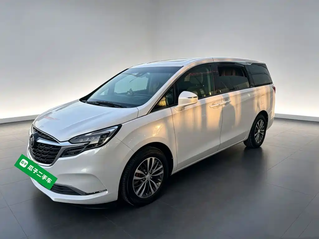 Buick GL8 — миниатюра 2
