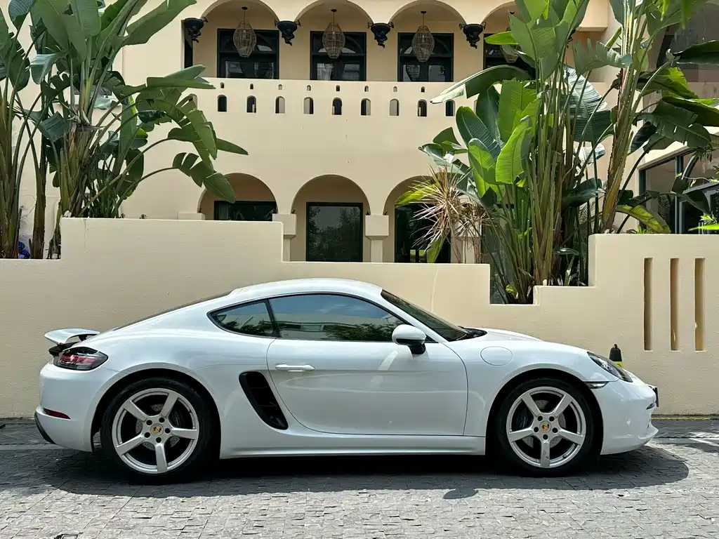 Porsche 718 — миниатюра 2