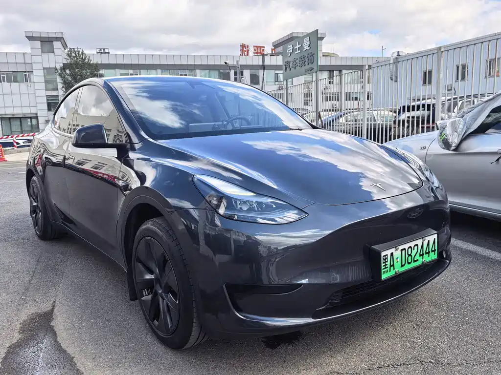 Tesla Model Y — миниатюра 3