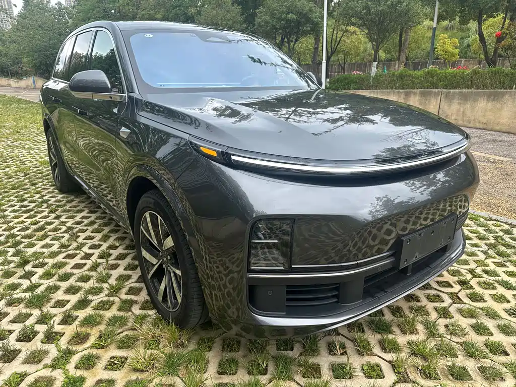Li Auto Li L8 — миниатюра 3
