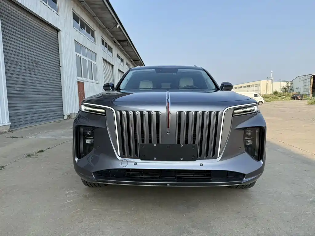 Hongqi E-HS9 2021 460km мест