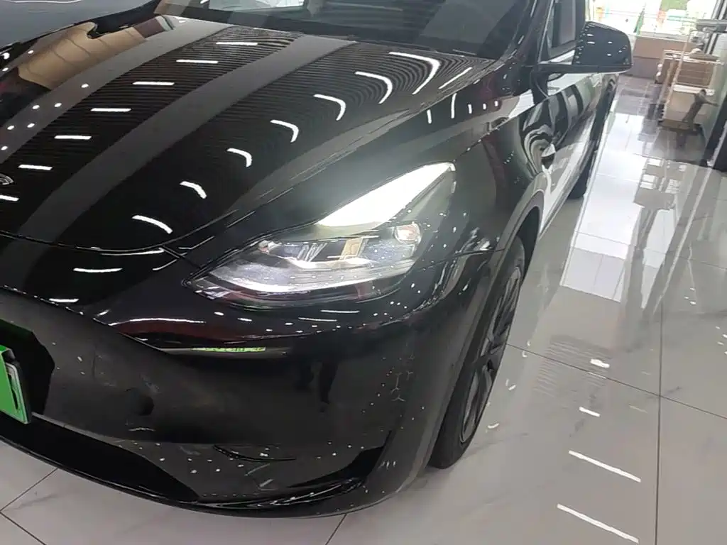 Tesla Model Y — миниатюра 24