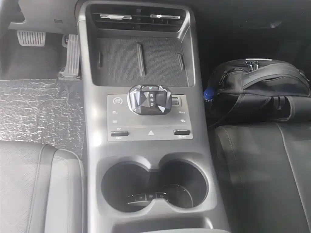 BYD Qin Plus PLUS 2025 DM-i Smart Drive 55KM Lead