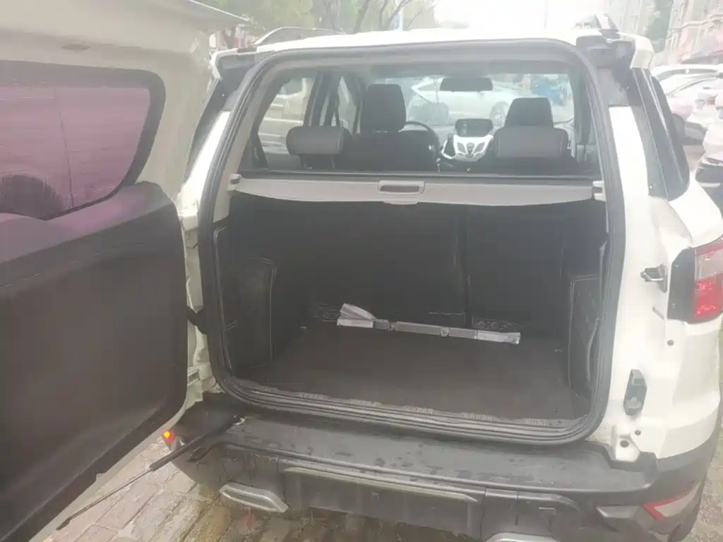 Ford Ecosport — миниатюра 19