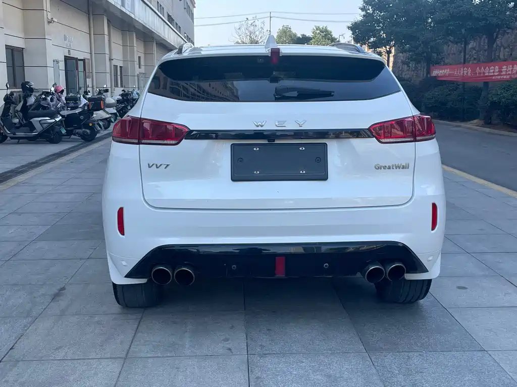 WEI PAI WEI BRAND VV7