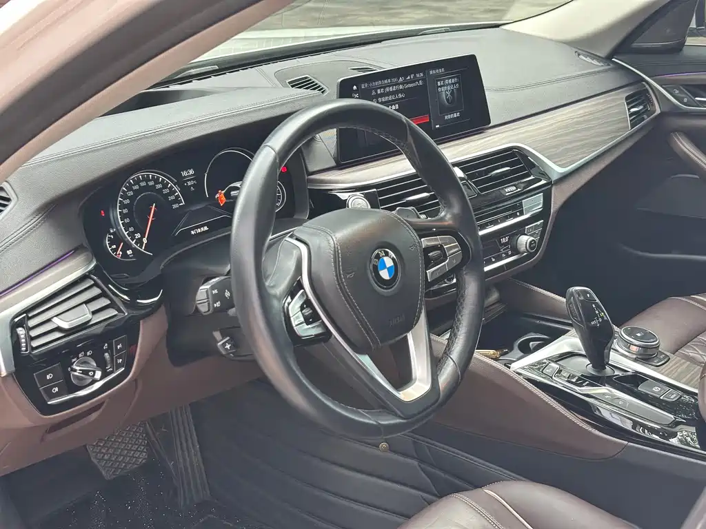 BMW 5 Series 5 2018 530Li Premium Luxury