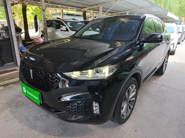 2019 Wey VV6