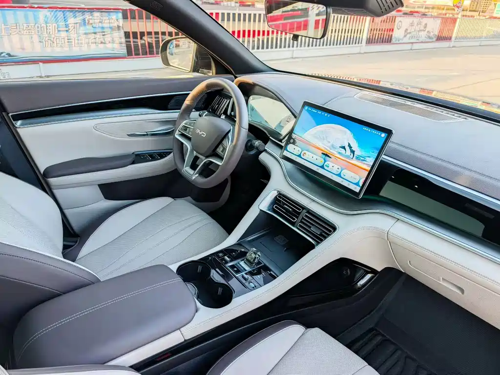 BYD PLUS New Energy — миниатюра 7
