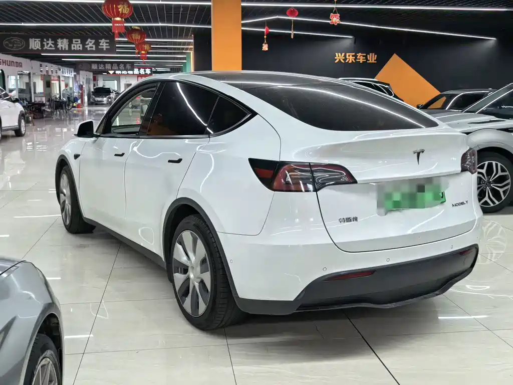 Tesla Model Y — миниатюра 7