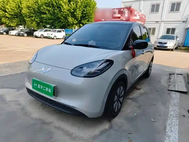 2024 Wuling Motors Binguo