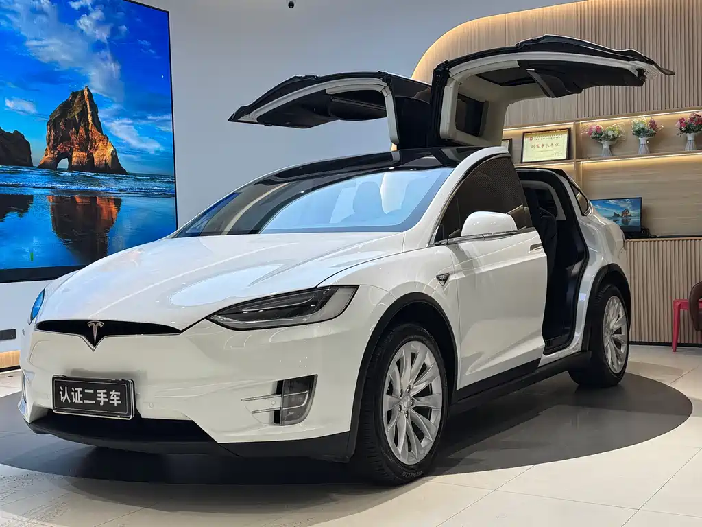 TESLA MODEL X