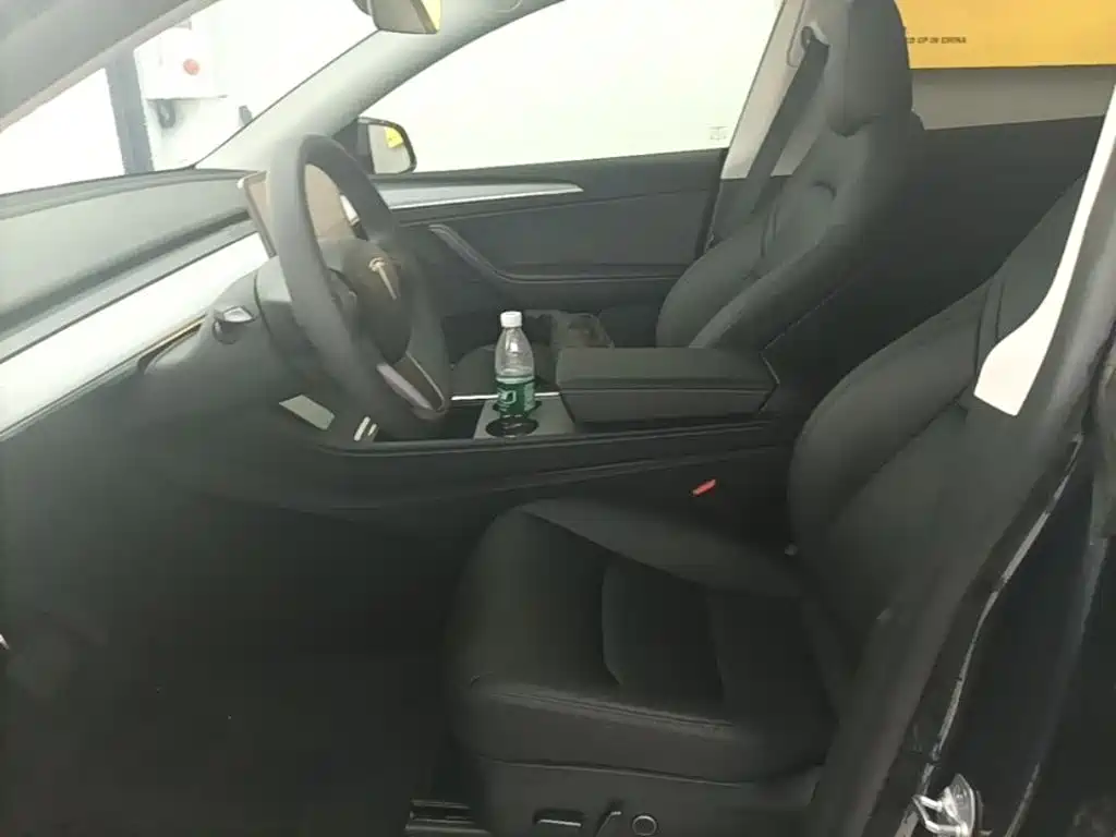 Tesla Model Y — миниатюра 15