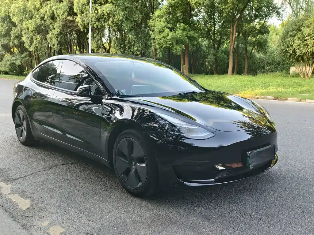 Tesla Model 3 — миниатюра 3