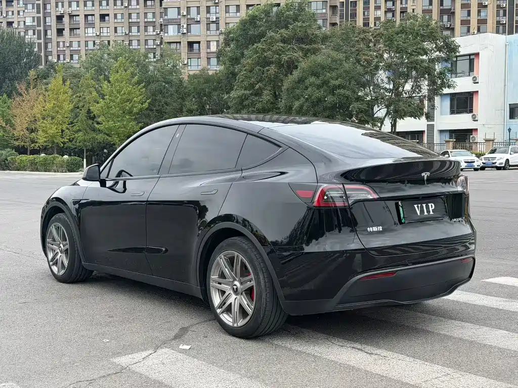 Tesla Model Y — миниатюра 8