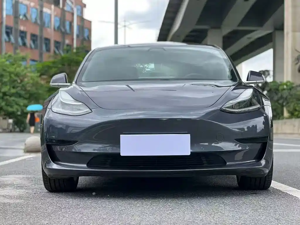 Tesla Model 3 2021 3D6