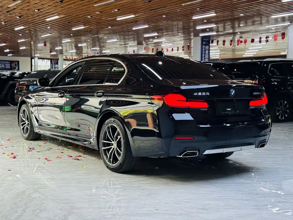 BMW 5 Series — миниатюра 17