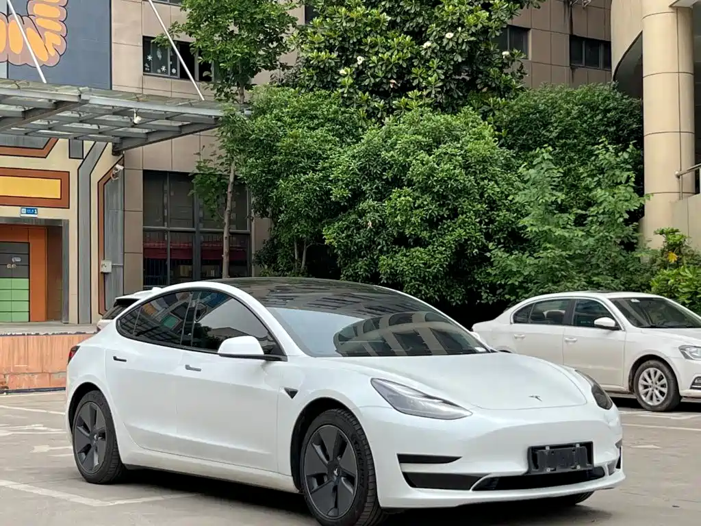 Tesla Model 3 — миниатюра 3