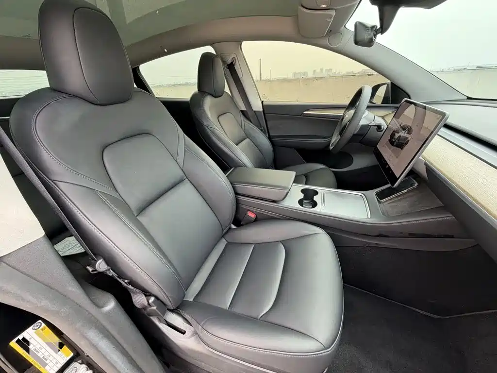 Tesla Model Y — миниатюра 8