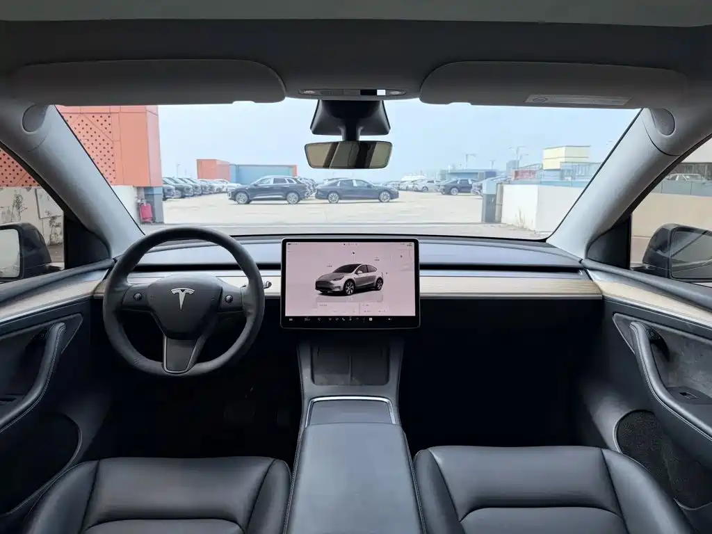 Tesla Model Y — миниатюра 9