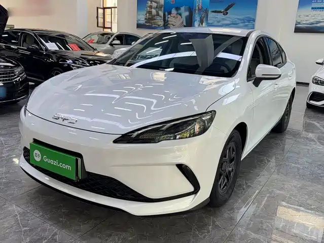 2025 BYD Sea Lion