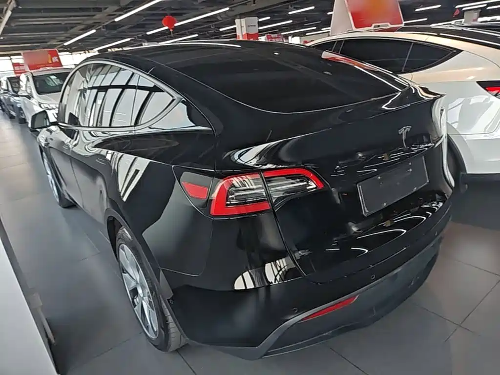 Tesla Model Y — миниатюра 5